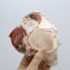 Maxota Raw: Marrow Bones - Healthy, Natural Treats for Dogs Hand-Crafted in San Diego California