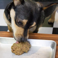 Transitioning Your Dog from Kibble to a Raw Diet