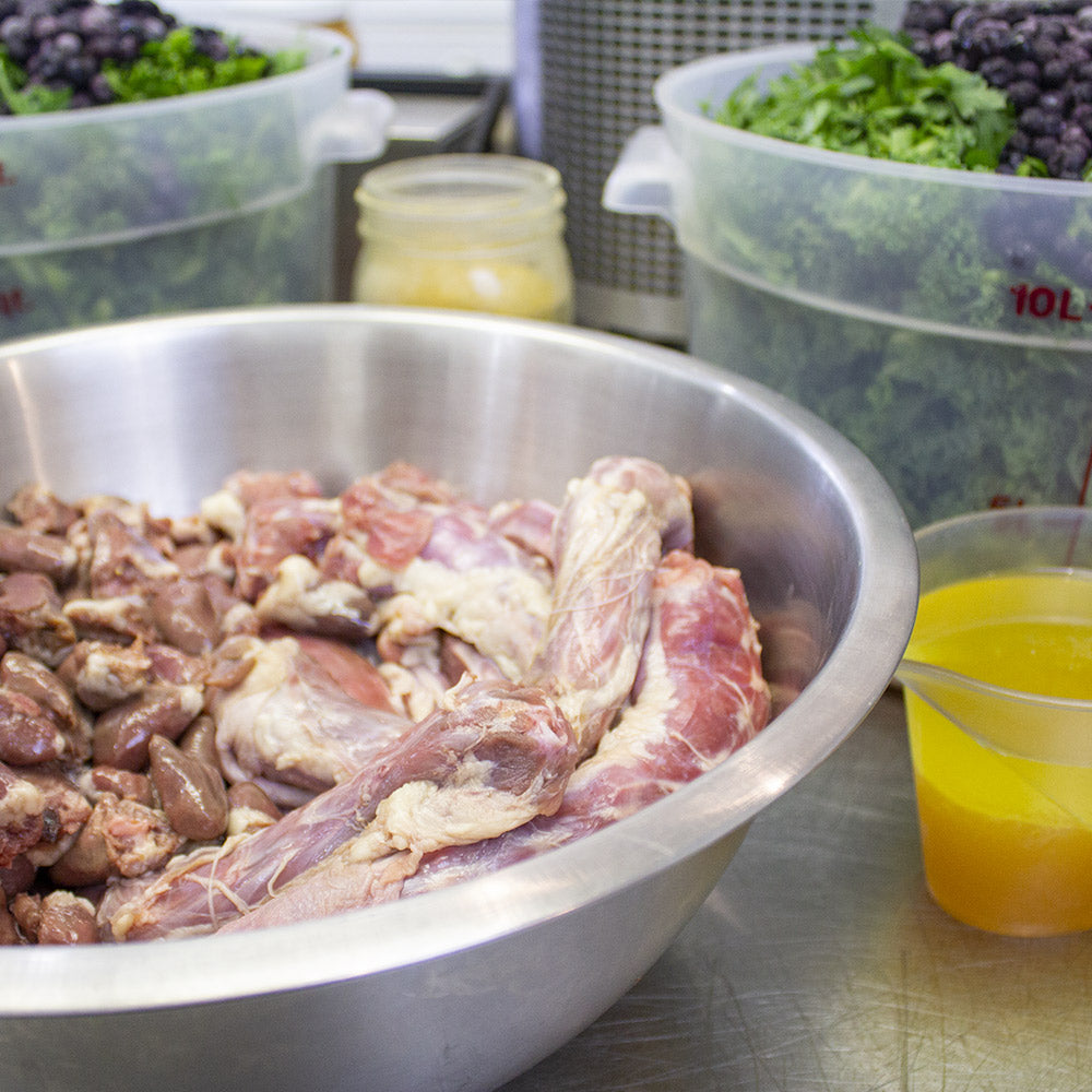 Why Your Dog Should Eat Raw Food