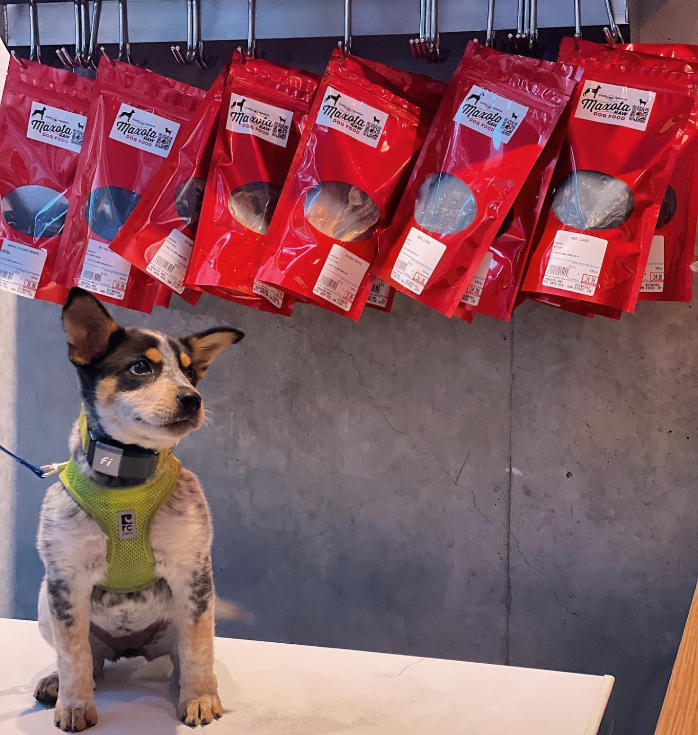 Visit Us in San Diego!