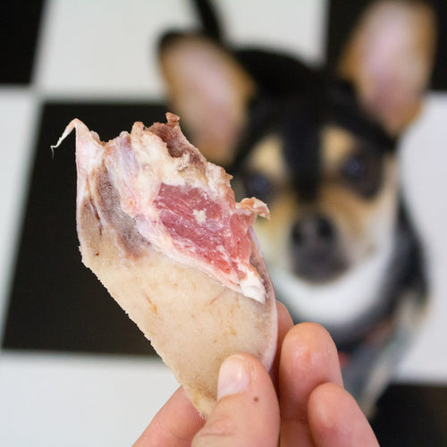 Maxota Raw: Knuckle Bone Slices Treats for Dogs Hand-Crafted in San Diego, California
