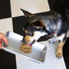 Maxota Raw Dog Food: Hand-Crafted in San Diego - Duck Recipe