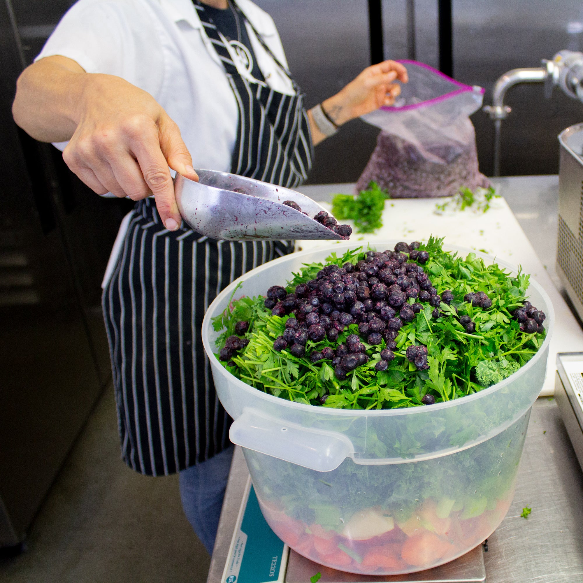 Raw Dog Food - Bison Recipe