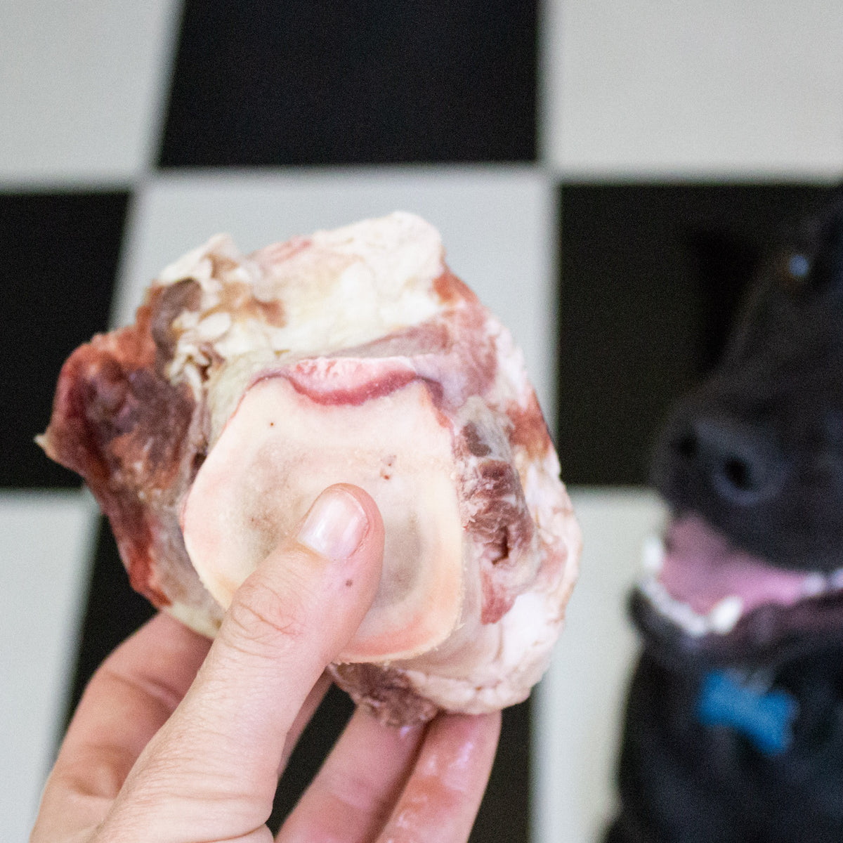 Maxota Raw: Marrow Bones Healthy, Natural Treats for Dogs