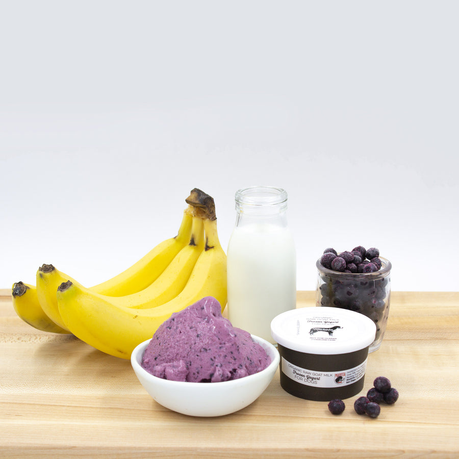 Maxota Raw Dog or Cat Treats: Goat Milk Yogurt Hand-Crafted in San Diego