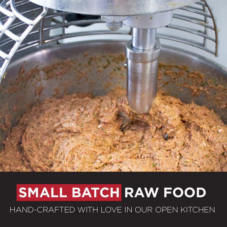 Maxota Raw Dog Food: Hand-Crafted in San Diego - Chicken Recipe