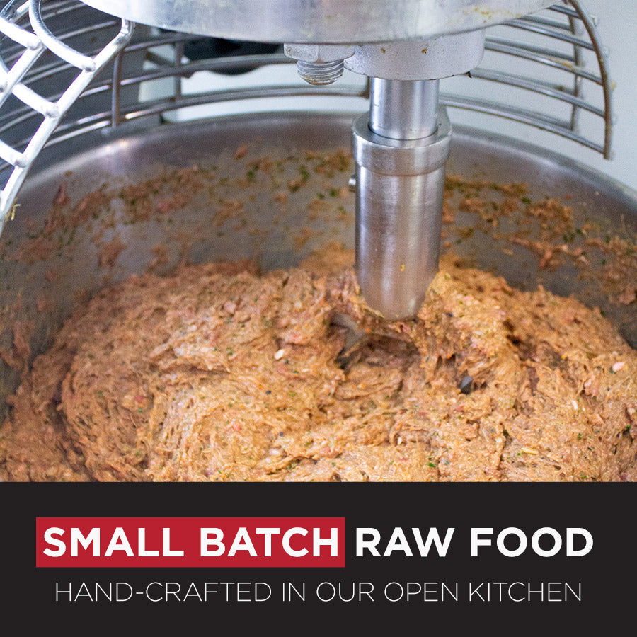 Maxota Raw Dog Food: Hand-Crafted in San Diego - Duck Recipe