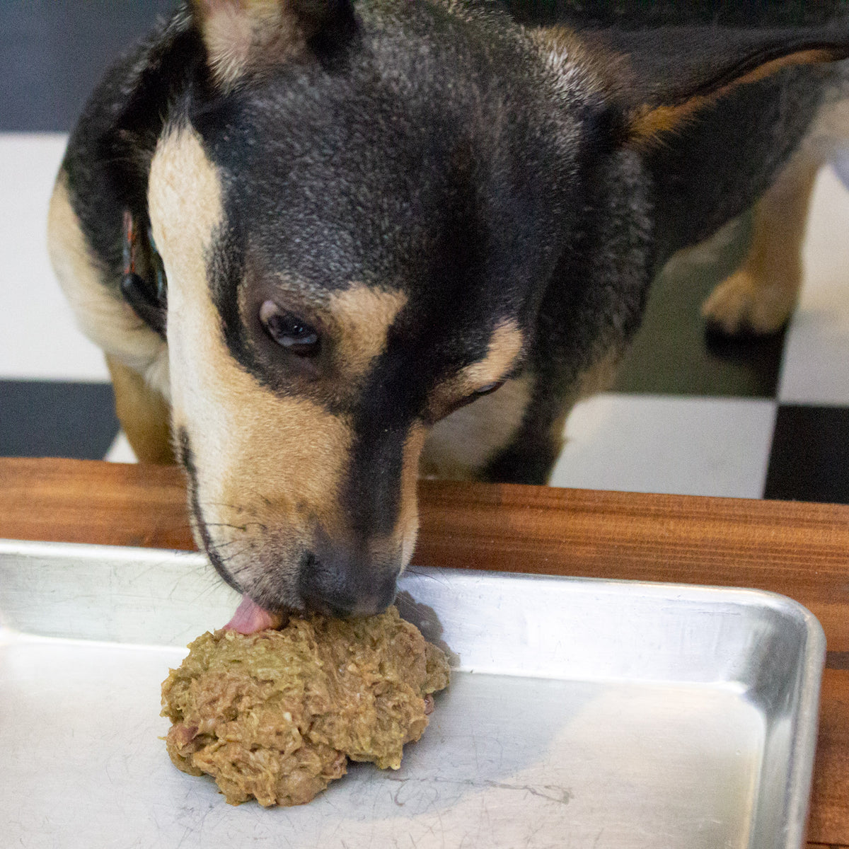 Maxota Raw Dog Food: Hand-Crafted in San Diego - Chicken Recipe